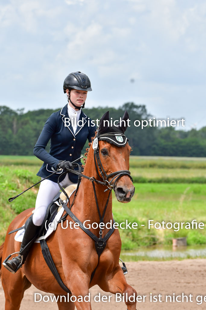 Goldene Schärpe PFerde  in Löningen  11+12.6.22 | 22062022 Springen 2 Abt _171