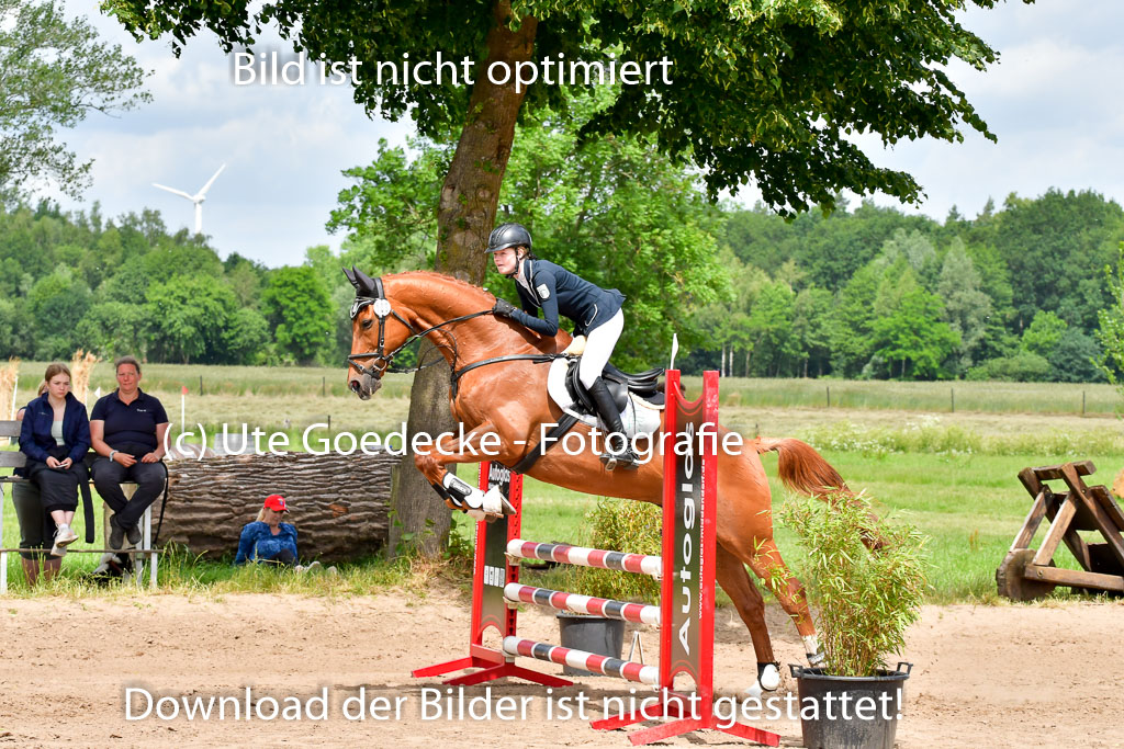 Goldene Schärpe PFerde  in Löningen  11+12.6.22 | 22062022 Springen 2 Abt _175