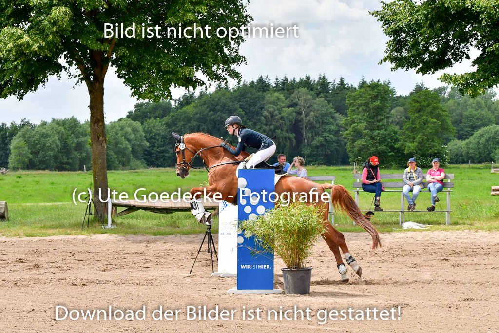 Goldene Schärpe PFerde  in Löningen  11+12.6.22 | 22062022 Springen 2 Abt _176