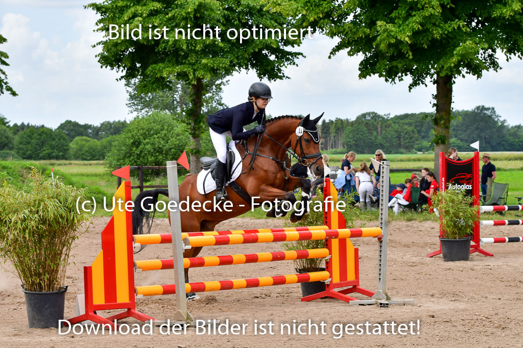 Goldene Schärpe PFerde  in Löningen  11+12.6.22 | 22062022 Springen 2 Abt _179
