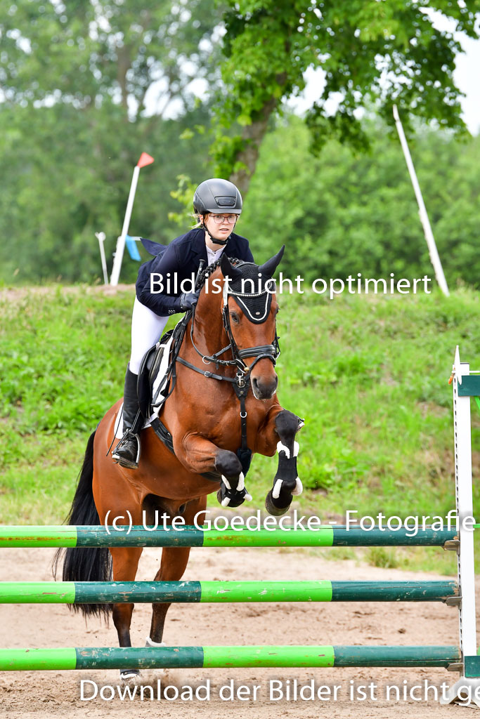 Goldene Schärpe PFerde  in Löningen  11+12.6.22 | 22062022 Springen 2 Abt _181