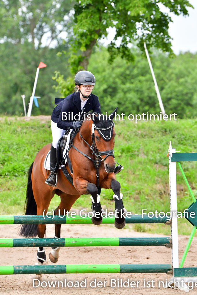 Goldene Schärpe PFerde  in Löningen  11+12.6.22 | 22062022 Springen 2 Abt _182