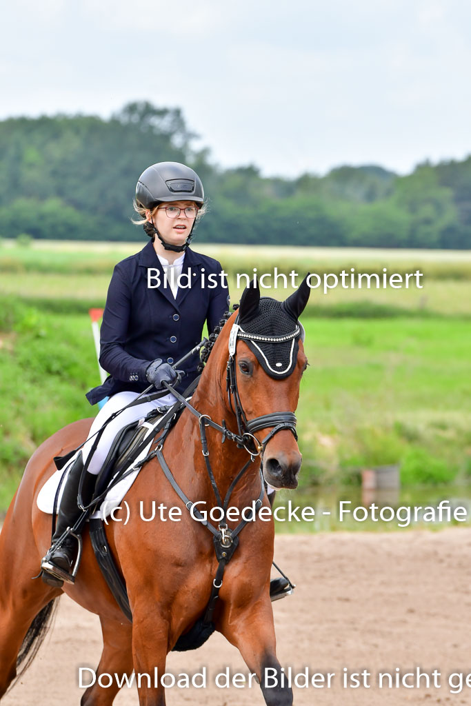 Goldene Schärpe PFerde  in Löningen  11+12.6.22 | 22062022 Springen 2 Abt _185