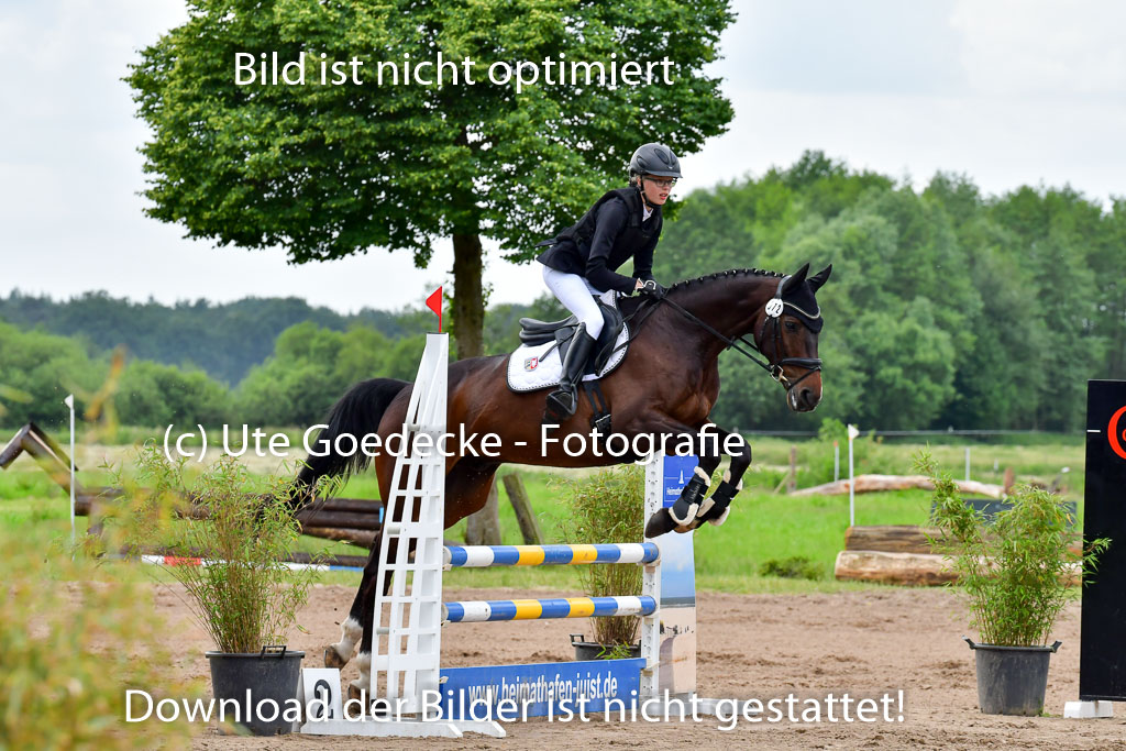 Goldene Schärpe PFerde  in Löningen  11+12.6.22 | 22062022 Springen 2 Abt _189