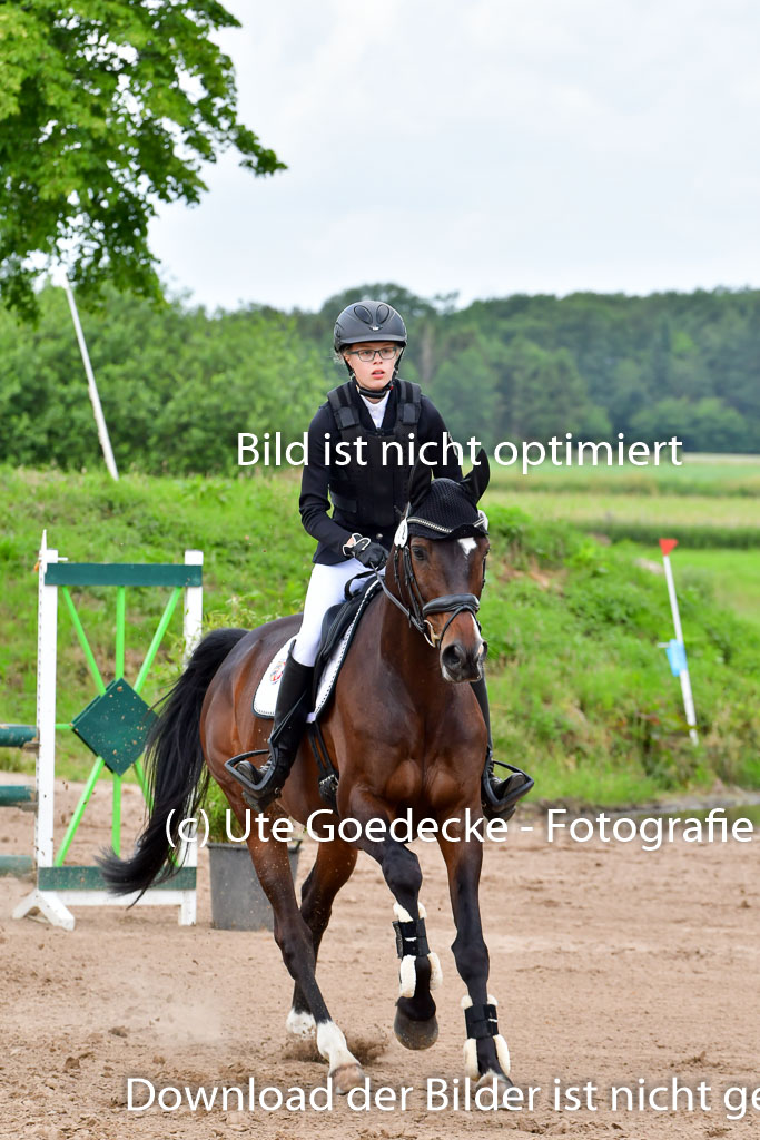 Goldene Schärpe PFerde  in Löningen  11+12.6.22 | 22062022 Springen 2 Abt _192