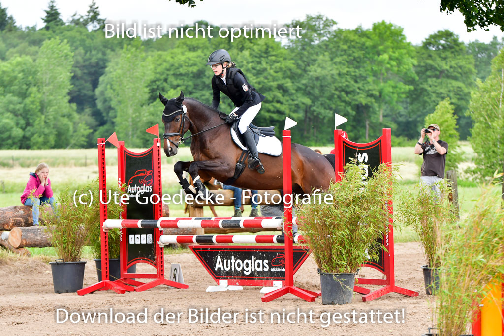 Goldene Schärpe PFerde  in Löningen  11+12.6.22 | 22062022 Springen 2 Abt _193
