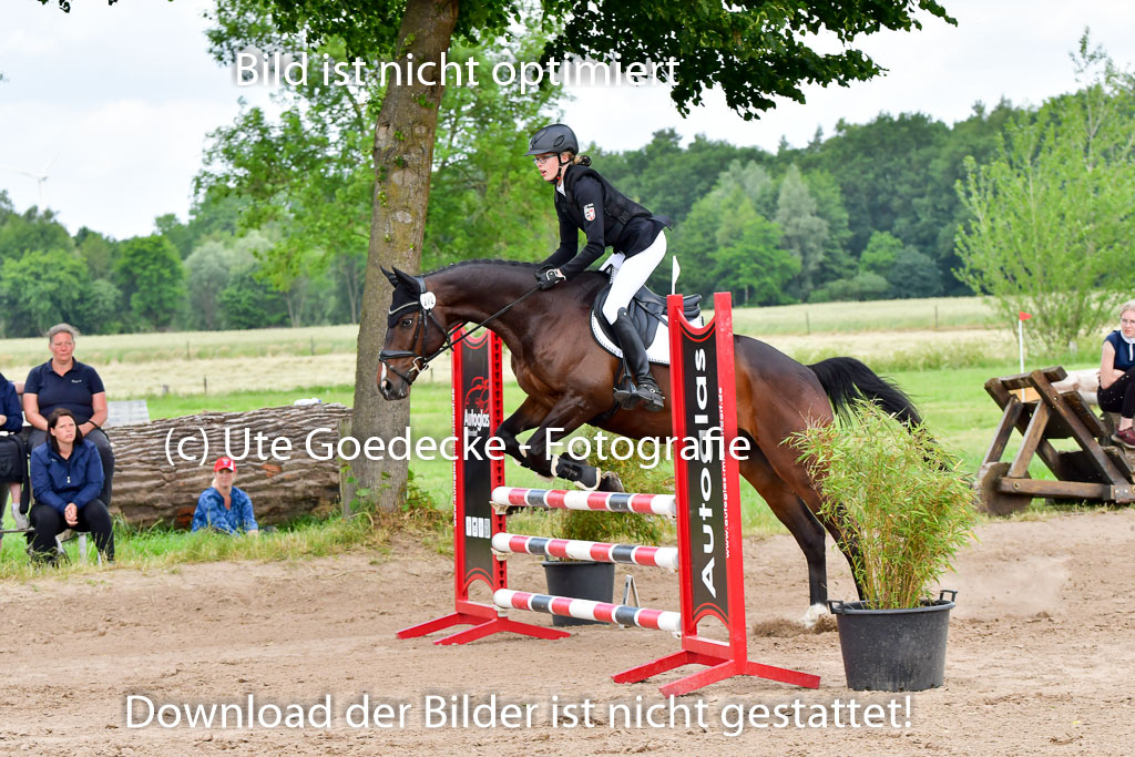 Goldene Schärpe PFerde  in Löningen  11+12.6.22 | 22062022 Springen 2 Abt _194
