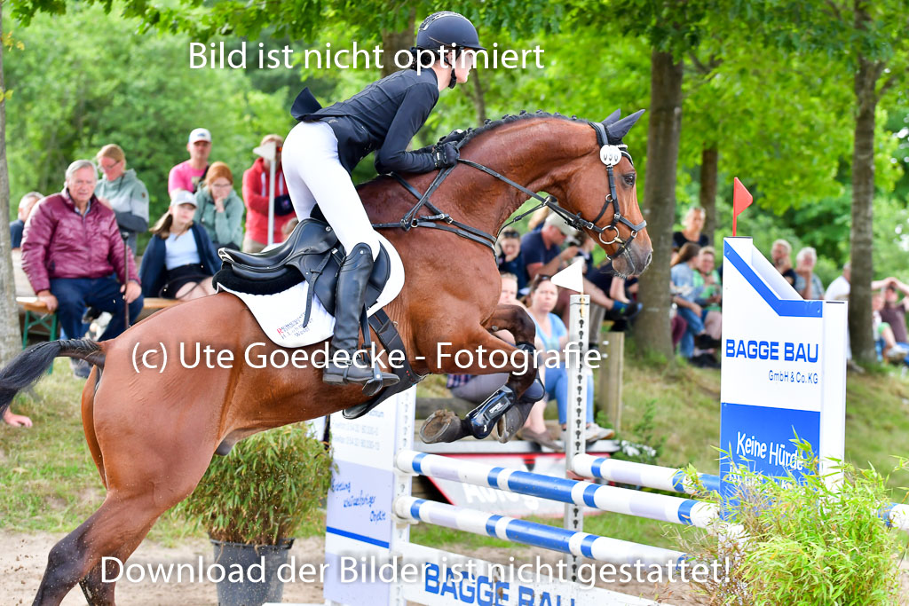 Goldene Schärpe PFerde  in Löningen  11+12.6.22 | 22062022 Springen 2 Abt _401 