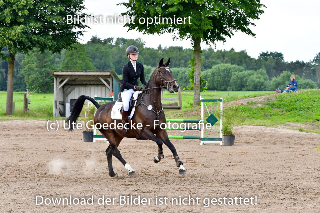 Goldene Schärpe PFerde  in Löningen  11+12.6.22 | 22062022 Springen 2 Abt _407