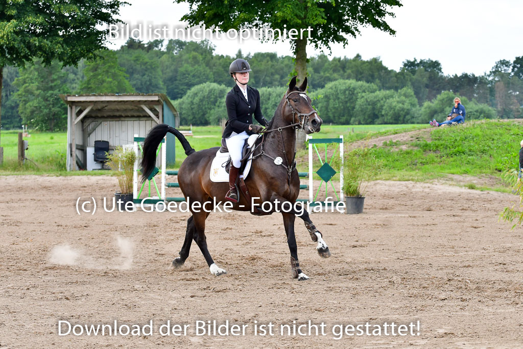 Goldene Schärpe PFerde  in Löningen  11+12.6.22 | 22062022 Springen 2 Abt _408