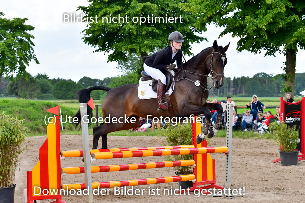 Goldene Schärpe PFerde  in Löningen  11+12.6.22 | 22062022 Springen 2 Abt _410