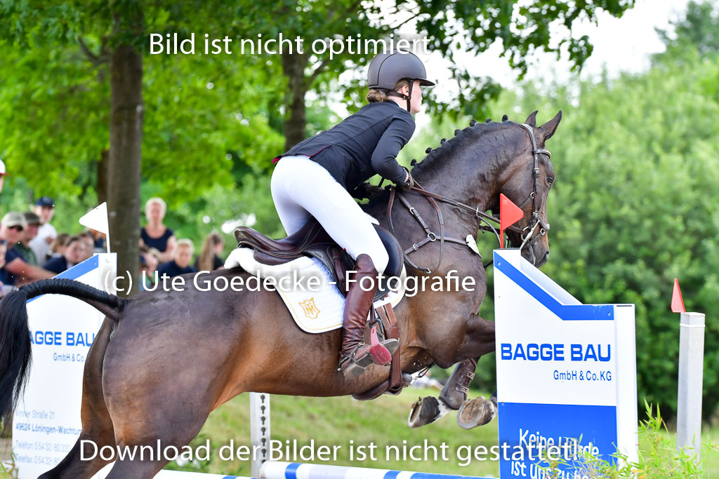 Goldene Schärpe PFerde  in Löningen  11+12.6.22 | 22062022 Springen 2 Abt _412