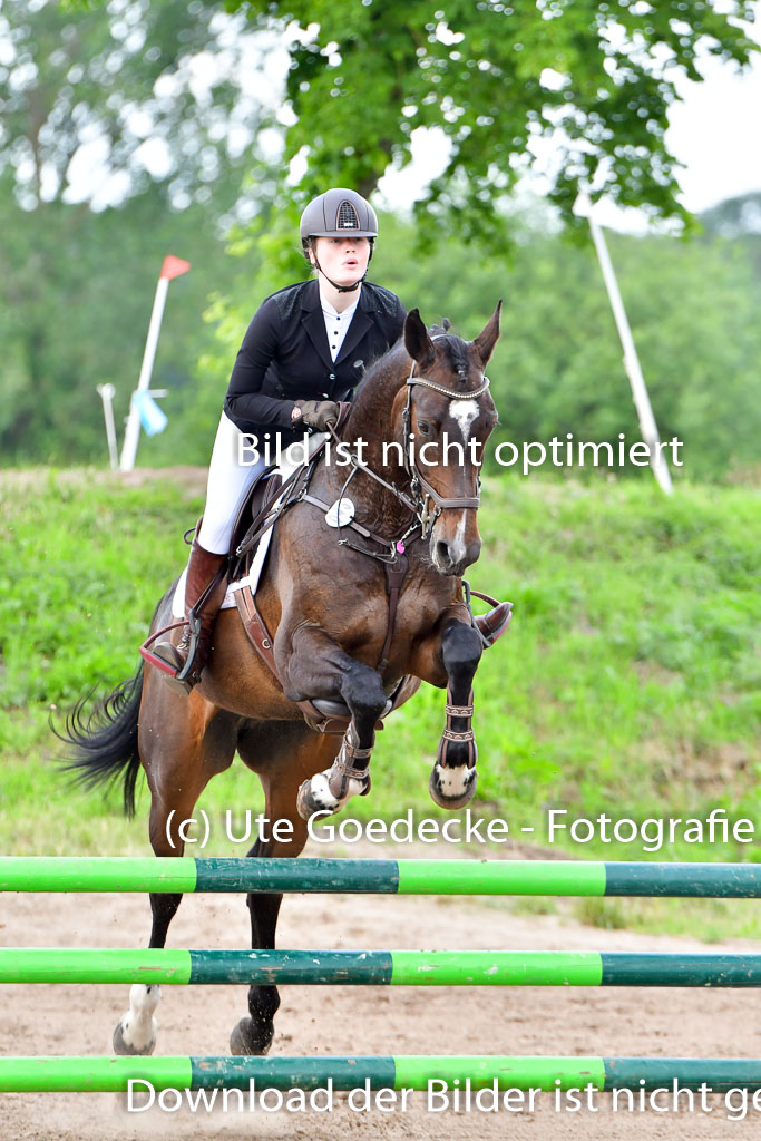 Goldene Schärpe PFerde  in Löningen  11+12.6.22 | 22062022 Springen 2 Abt _414