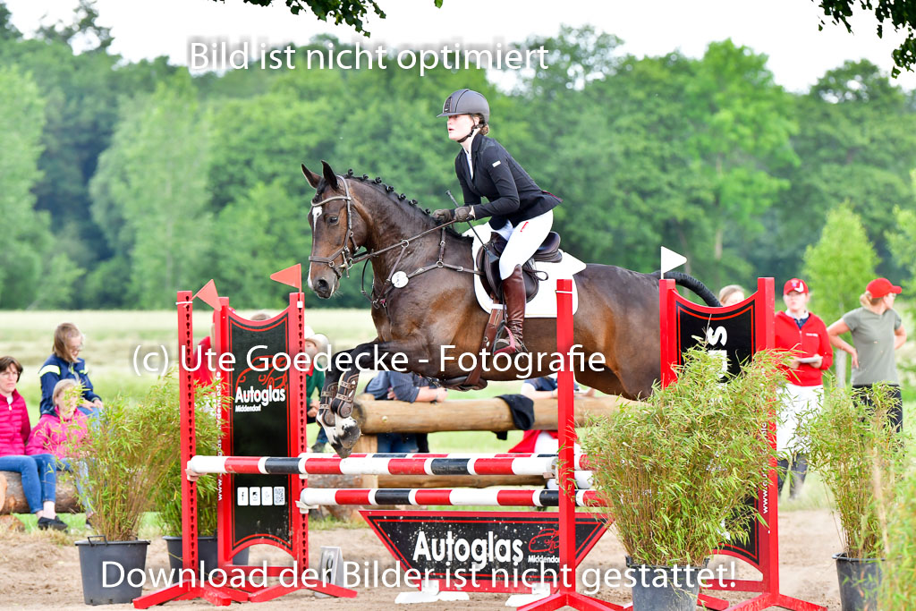 Goldene Schärpe PFerde  in Löningen  11+12.6.22 | 22062022 Springen 2 Abt _417