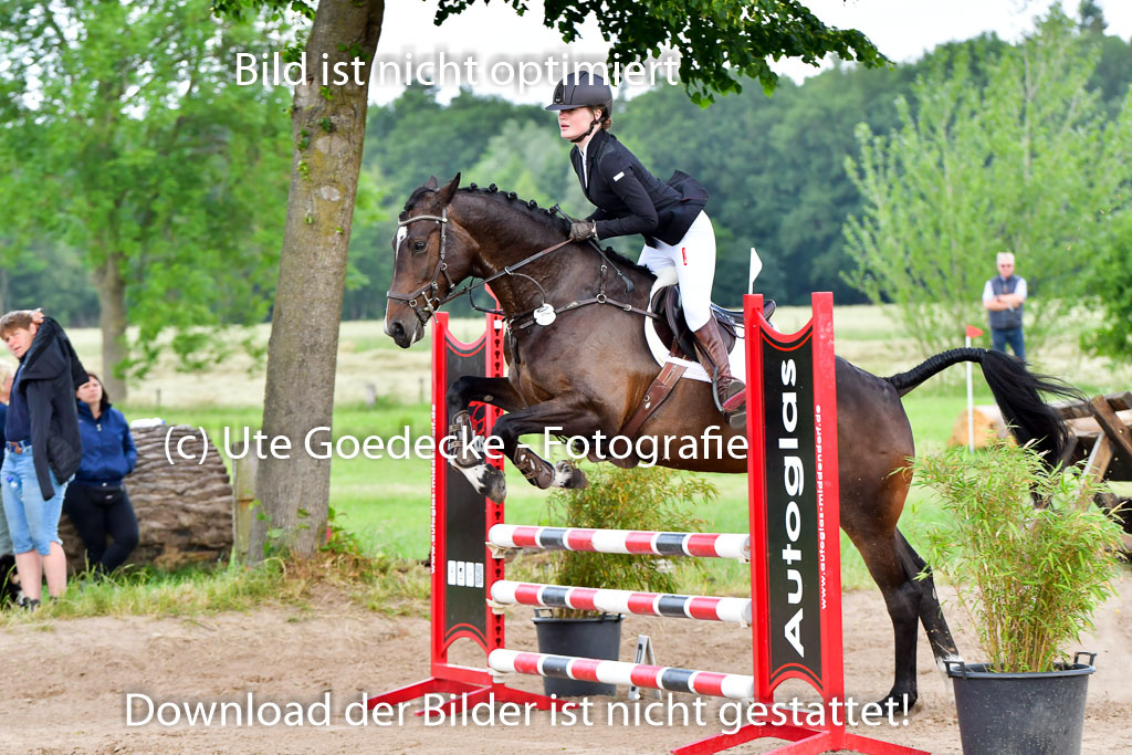 Goldene Schärpe PFerde  in Löningen  11+12.6.22 | 22062022 Springen 2 Abt _418