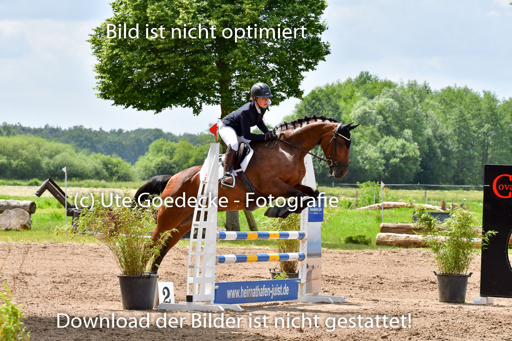 Goldene Schärpe PFerde  in Löningen  11+12.6.22 | 22062022 Springen 2 Abt _431