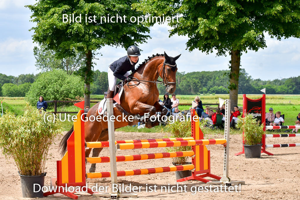 Goldene Schärpe PFerde  in Löningen  11+12.6.22 | 22062022 Springen 2 Abt _434