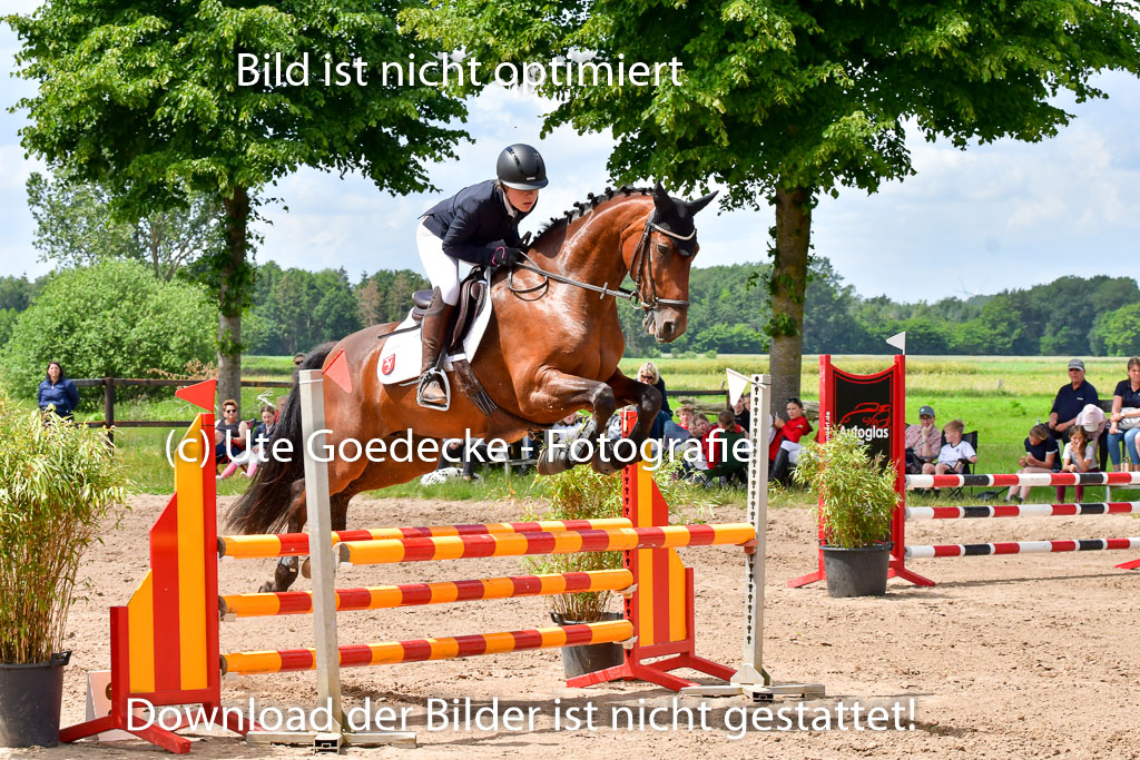 Goldene Schärpe PFerde  in Löningen  11+12.6.22 | 22062022 Springen 2 Abt _435 