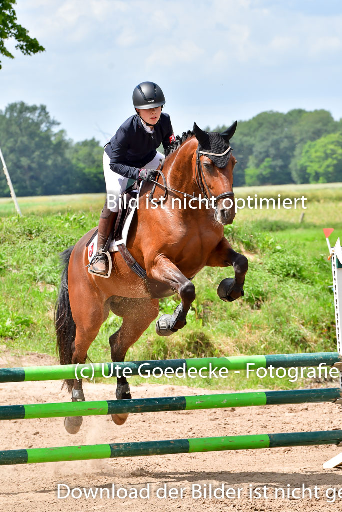 Goldene Schärpe PFerde  in Löningen  11+12.6.22 | 22062022 Springen 2 Abt _438