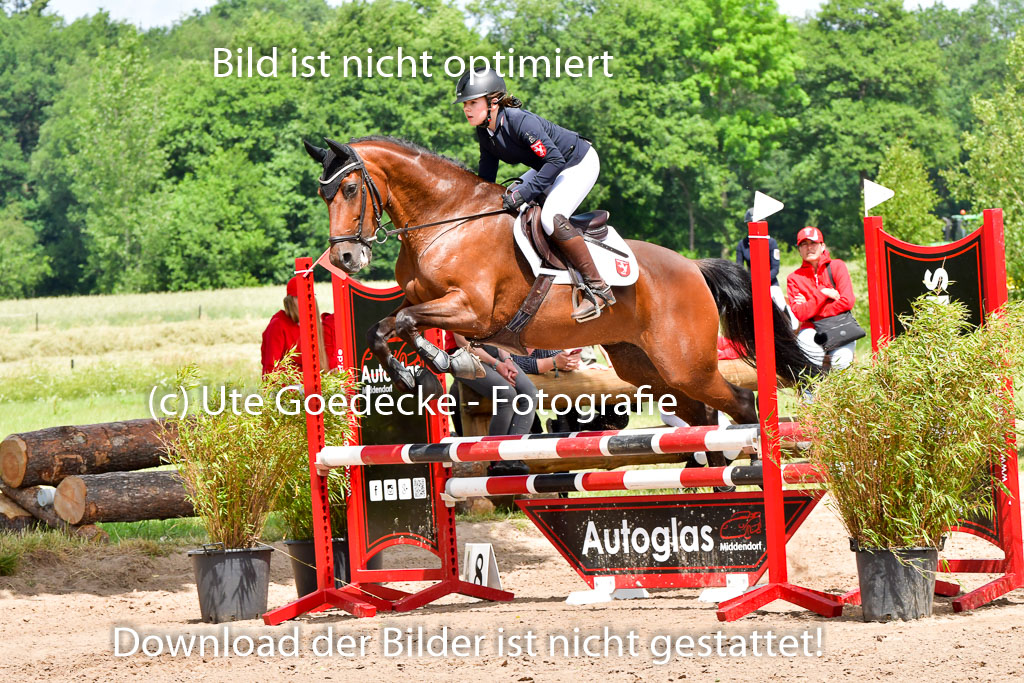 Goldene Schärpe PFerde  in Löningen  11+12.6.22 | 22062022 Springen 2 Abt _440