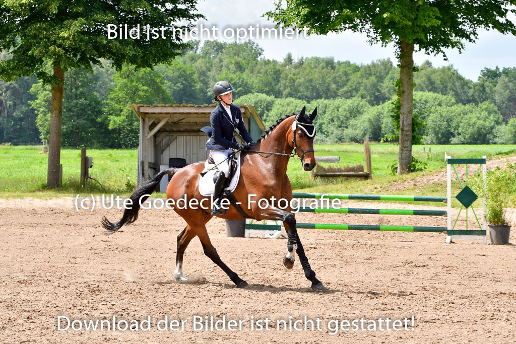 Goldene Schärpe PFerde  in Löningen  11+12.6.22 | 22062022 Springen 2 Abt _444