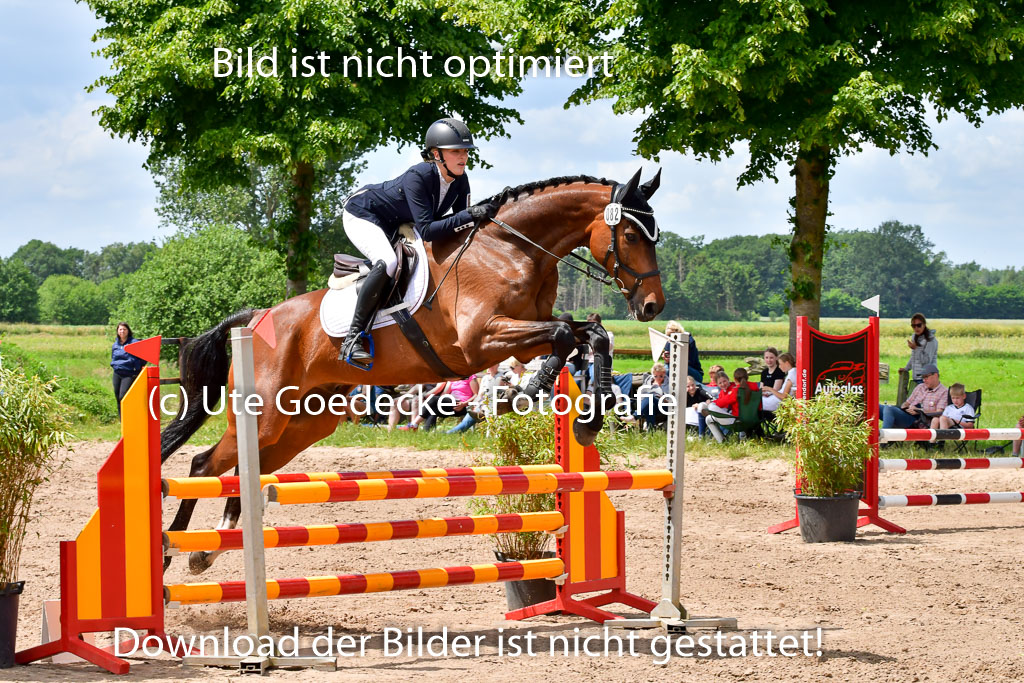 Goldene Schärpe PFerde  in Löningen  11+12.6.22 | 22062022 Springen 2 Abt _447