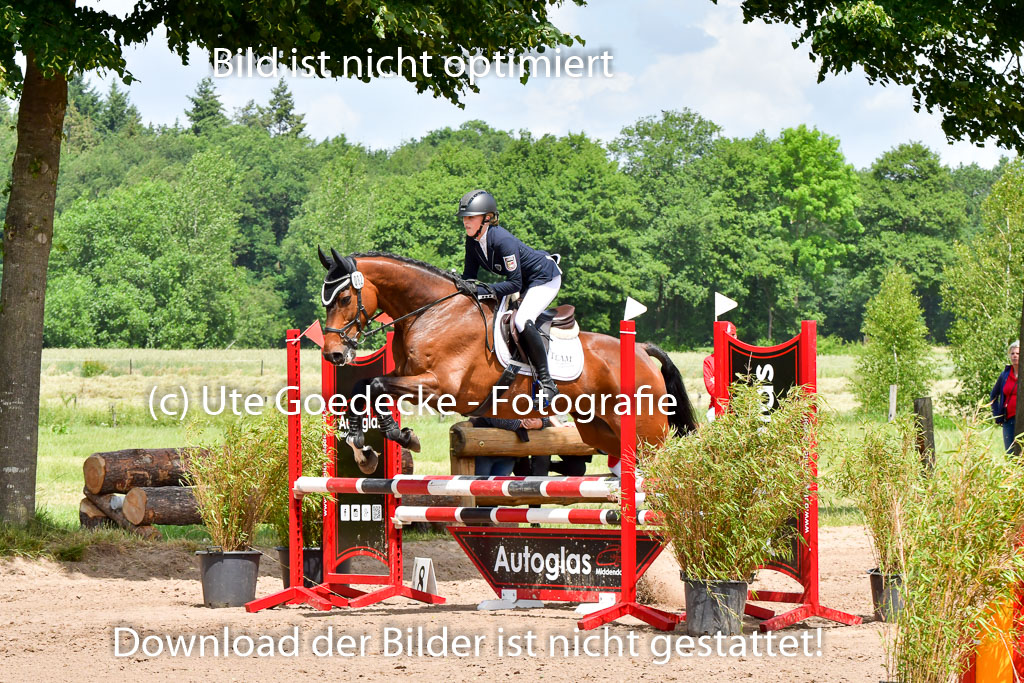 Goldene Schärpe PFerde  in Löningen  11+12.6.22 | 22062022 Springen 2 Abt _452