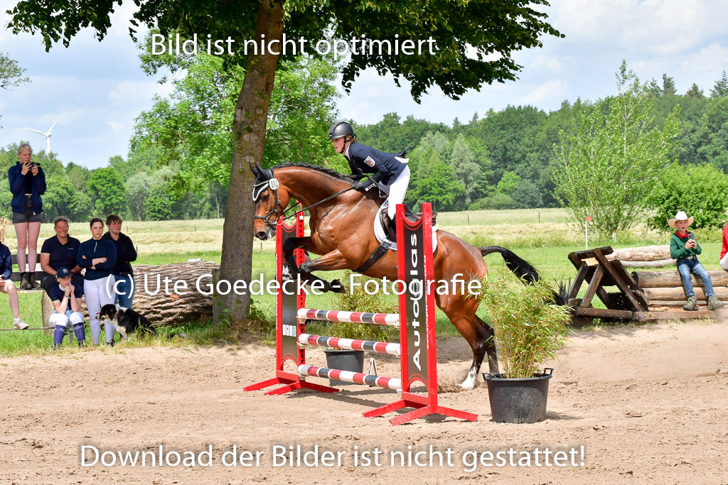 Goldene Schärpe PFerde  in Löningen  11+12.6.22 | 22062022 Springen 2 Abt _454