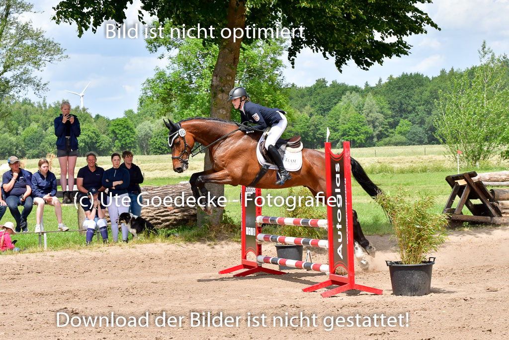 Goldene Schärpe PFerde  in Löningen  11+12.6.22 | 22062022 Springen 2 Abt _455