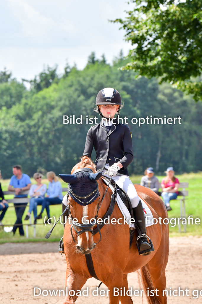 Goldene Schärpe PFerde  in Löningen  11+12.6.22 | 22062022 Springen 2 Abt _456