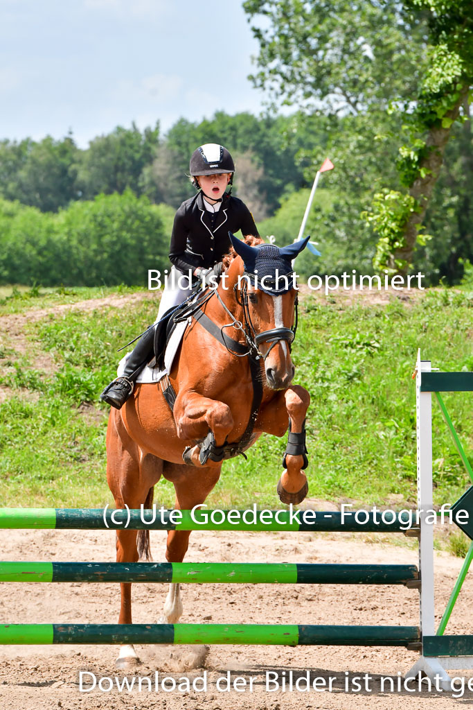 Goldene Schärpe PFerde  in Löningen  11+12.6.22 | 22062022 Springen 2 Abt _463