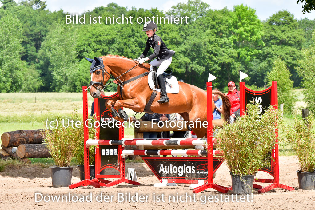 Goldene Schärpe PFerde  in Löningen  11+12.6.22 | 22062022 Springen 2 Abt _466