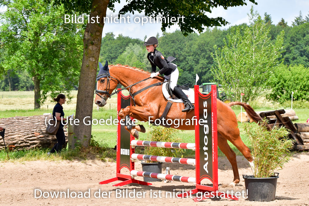 Goldene Schärpe PFerde  in Löningen  11+12.6.22 | 22062022 Springen 2 Abt _467