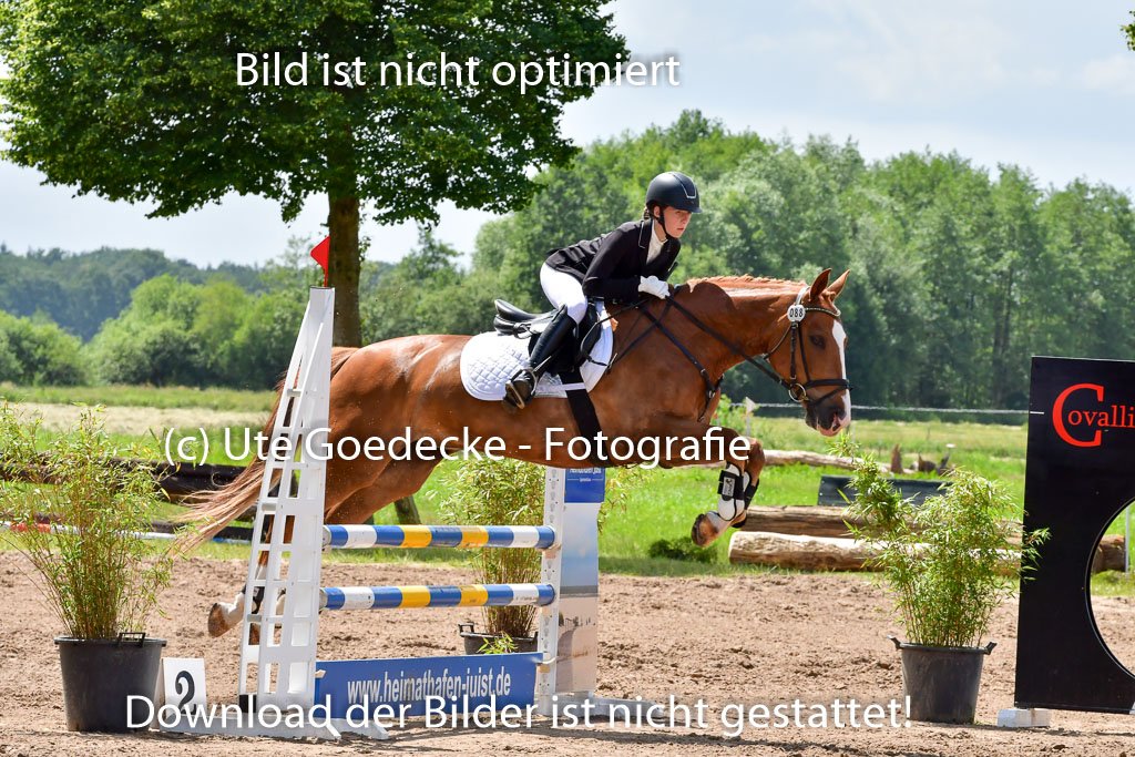Goldene Schärpe PFerde  in Löningen  11+12.6.22 | 22062022 Springen 2 Abt _471