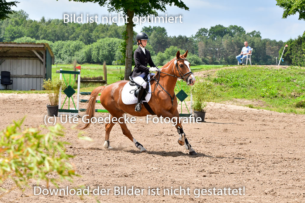 Goldene Schärpe PFerde  in Löningen  11+12.6.22 | 22062022 Springen 2 Abt _472