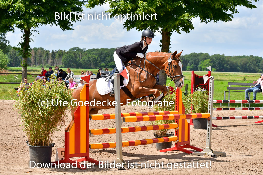 Goldene Schärpe PFerde  in Löningen  11+12.6.22 | 22062022 Springen 2 Abt _473