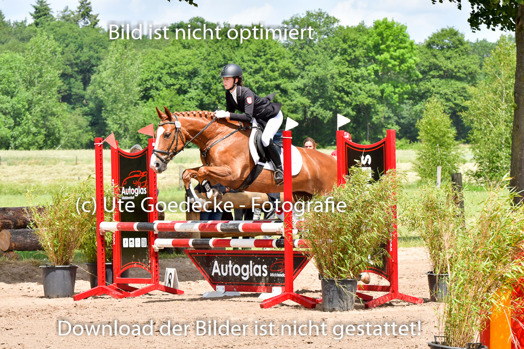 Goldene Schärpe PFerde  in Löningen  11+12.6.22 | 22062022 Springen 2 Abt _475