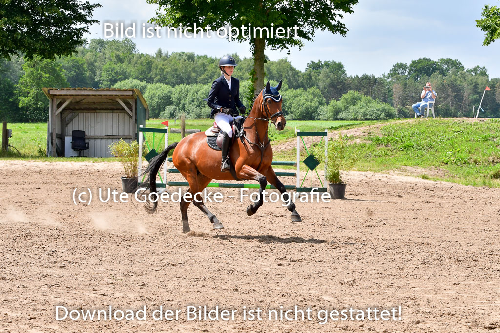 Goldene Schärpe PFerde  in Löningen  11+12.6.22 | 22062022 Springen 2 Abt _479