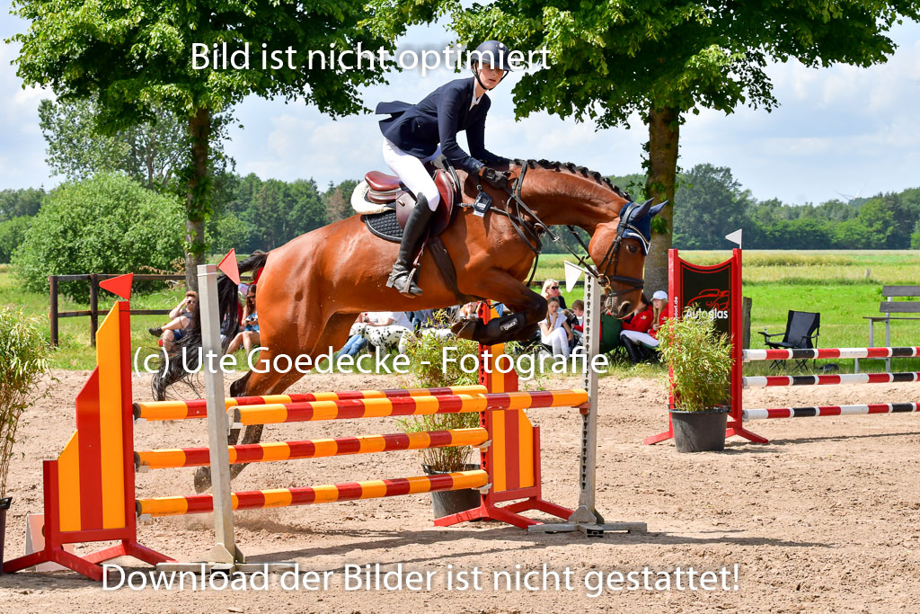 Goldene Schärpe PFerde  in Löningen  11+12.6.22 | 22062022 Springen 2 Abt _483