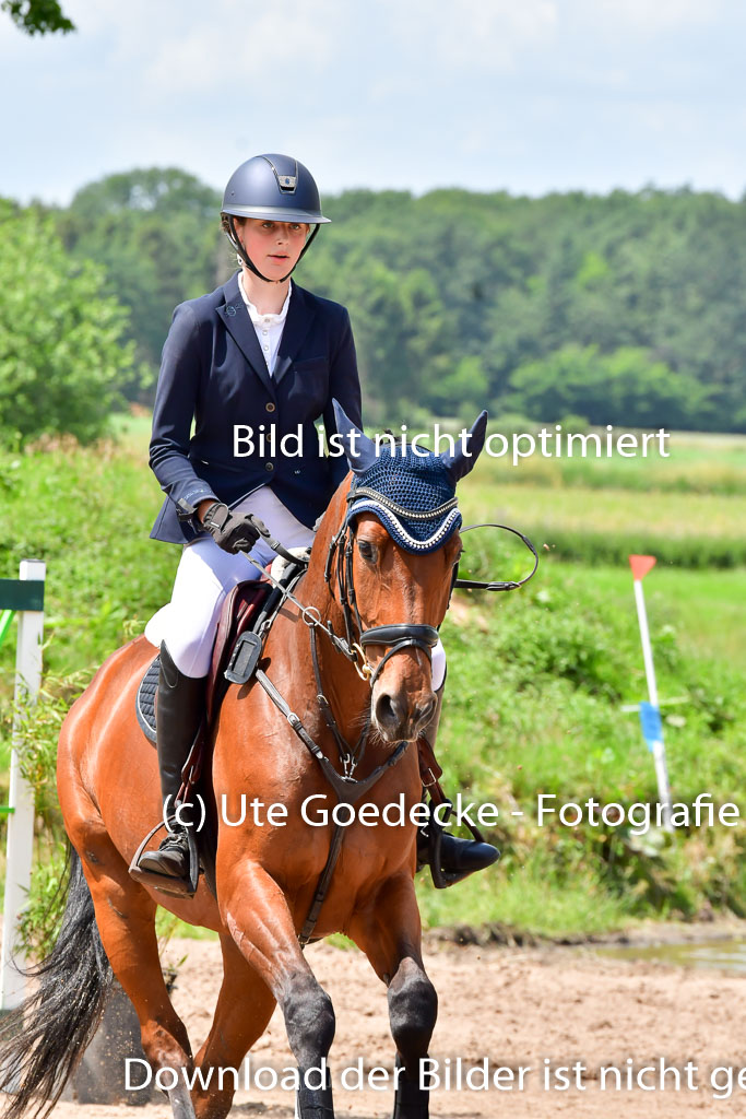 Goldene Schärpe PFerde  in Löningen  11+12.6.22 | 22062022 Springen 2 Abt _485 
