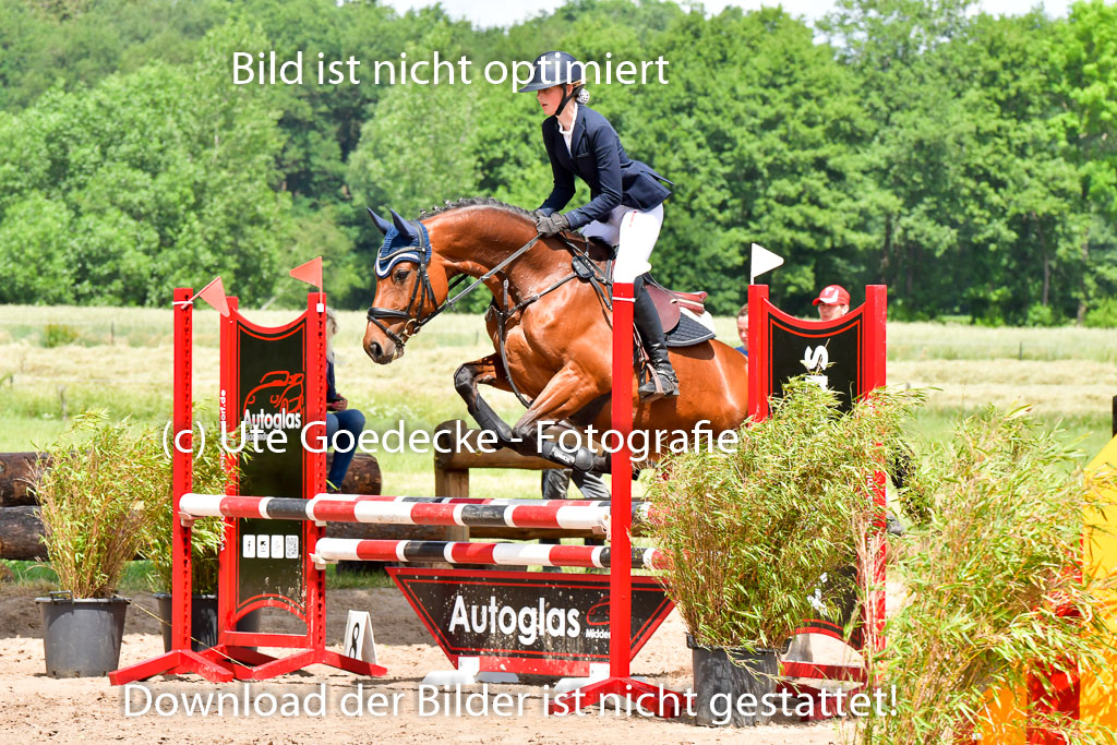 Goldene Schärpe PFerde  in Löningen  11+12.6.22 | 22062022 Springen 2 Abt _486