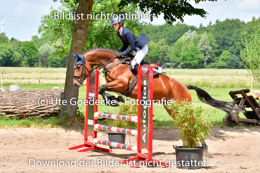 Goldene Schärpe PFerde  in Löningen  11+12.6.22 | 22062022 Springen 2 Abt _488