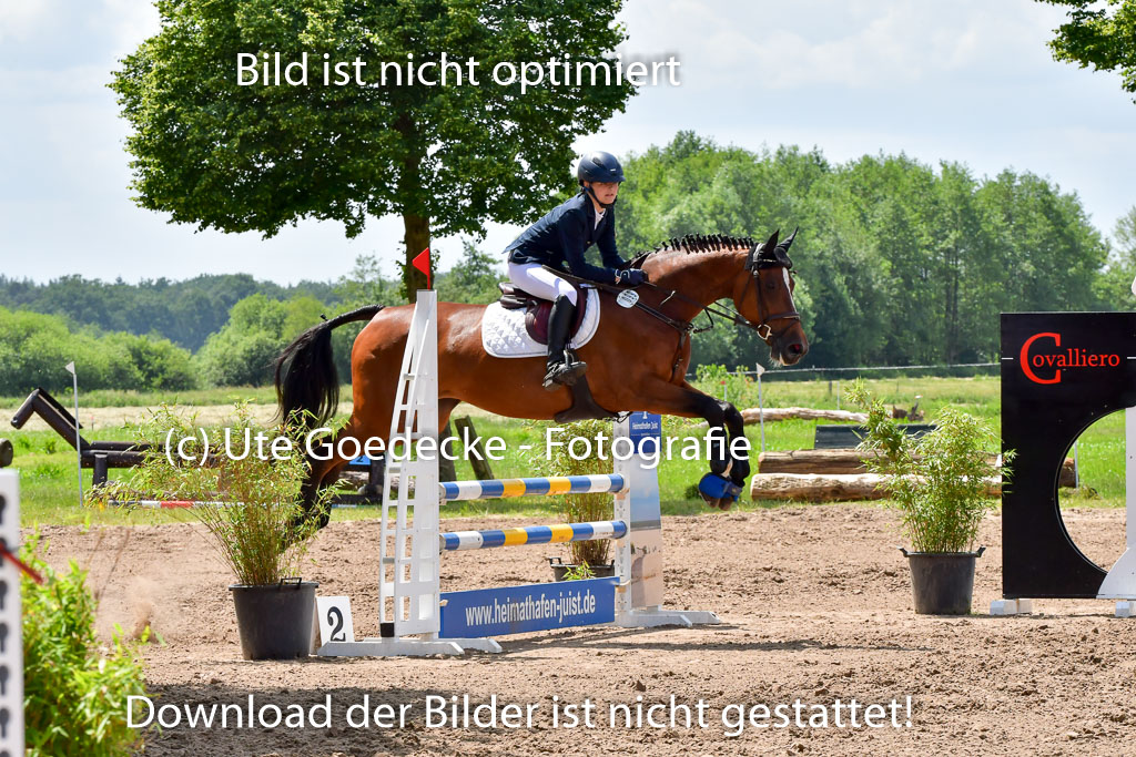 Goldene Schärpe PFerde  in Löningen  11+12.6.22 | 22062022 Springen 2 Abt _489