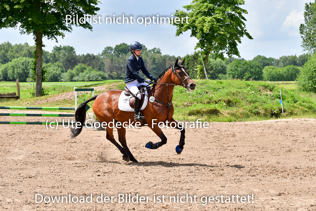 Goldene Schärpe PFerde  in Löningen  11+12.6.22 | 22062022 Springen 2 Abt _491