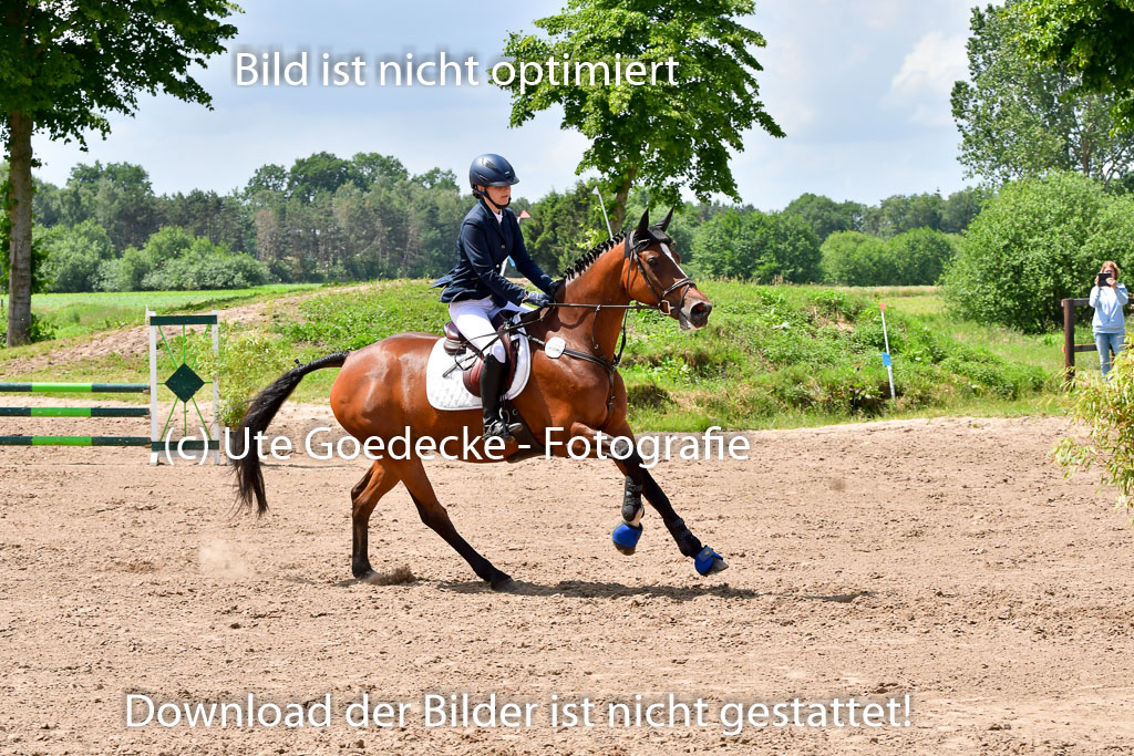 Goldene Schärpe PFerde  in Löningen  11+12.6.22 | 22062022 Springen 2 Abt _492