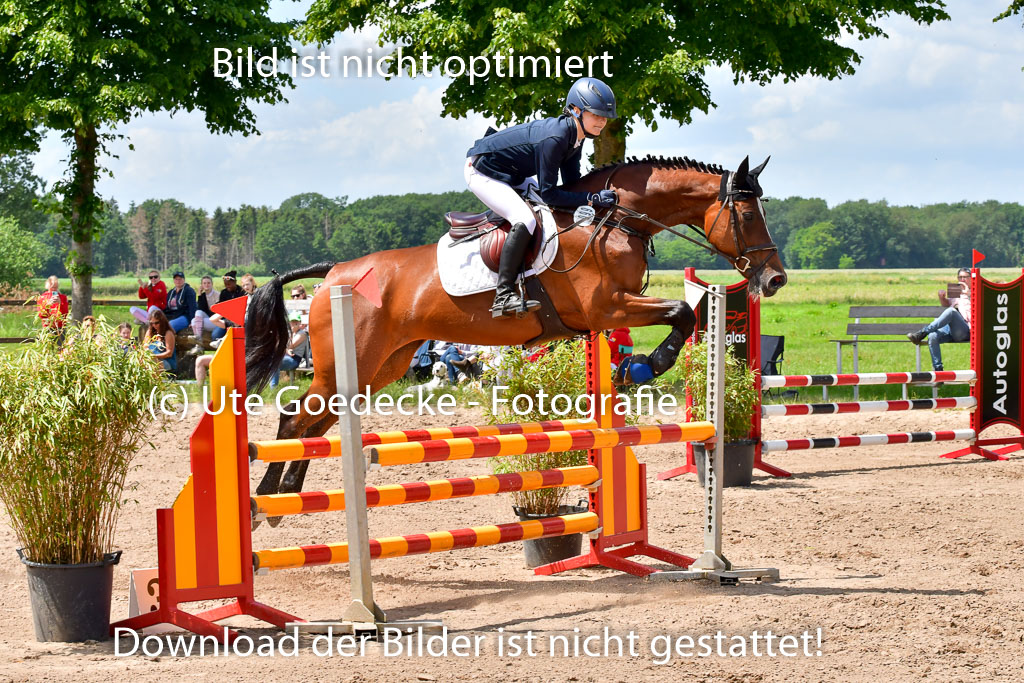 Goldene Schärpe PFerde  in Löningen  11+12.6.22 | 22062022 Springen 2 Abt _494