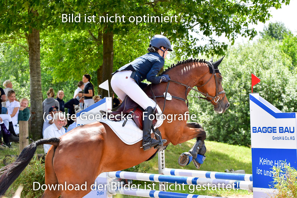 Goldene Schärpe PFerde  in Löningen  11+12.6.22 | 22062022 Springen 2 Abt _495