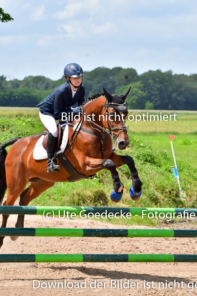 Goldene Schärpe PFerde  in Löningen  11+12.6.22 | 22062022 Springen 2 Abt _497