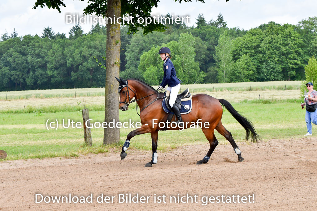 Goldene Schärpe PFerde  in Löningen  11+12.6.22 | 22062022 Springen 2 Abt