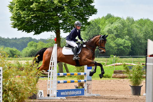 Goldene Schärpe PFerde  in Löningen  11+12.6.22 | 22062022 Springen 2 Abt _015 